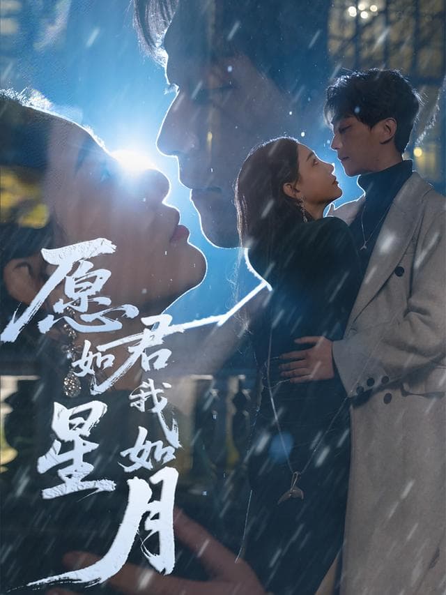 愿君如星我如月