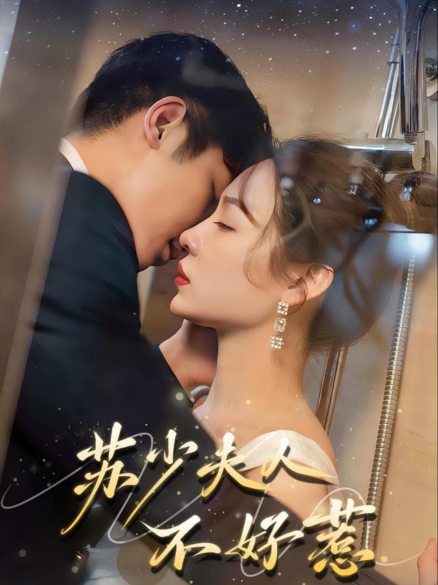 苏少夫人不好惹