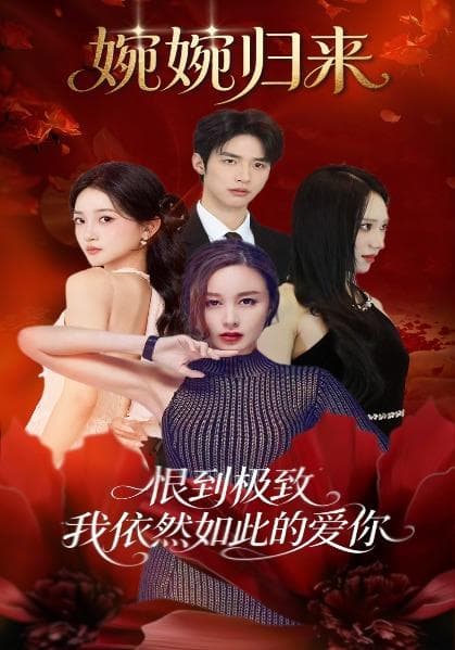 婉婉归来