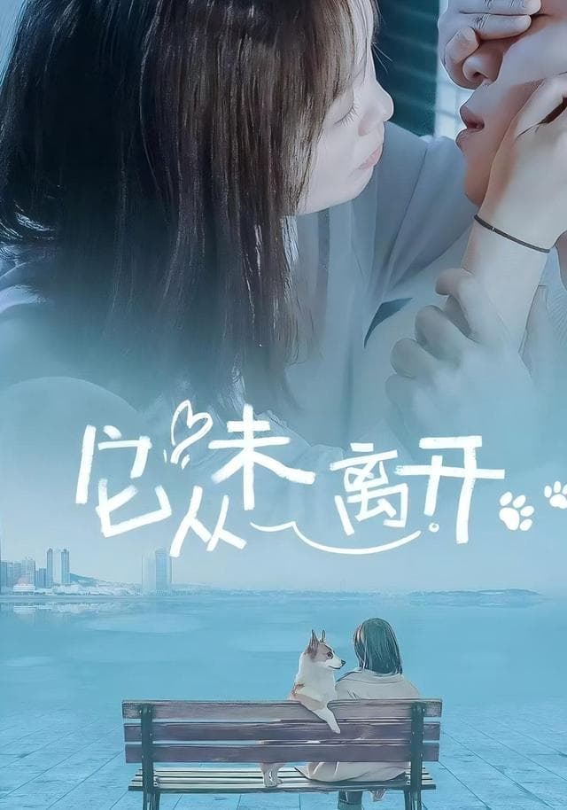 它从未离开